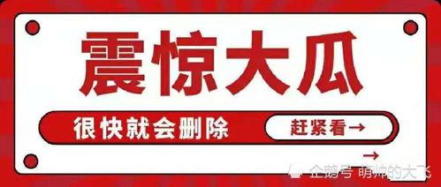 娱乐圈吃瓜八卦公众号
